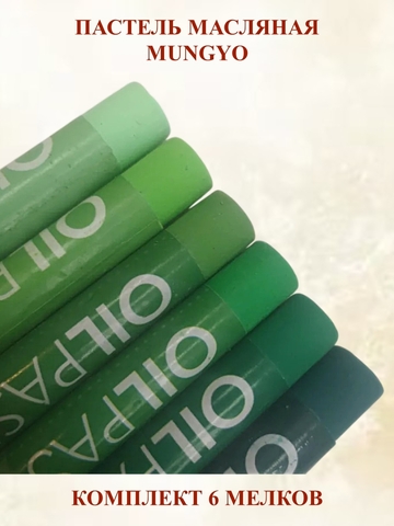 Пастель художественная масляная MUNGYO Oil Pastels Набор №6 (6шт)