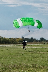 Main 7-cell canopy Seven