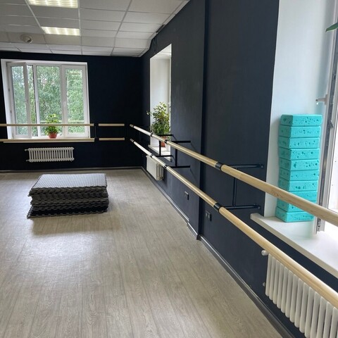 Танцевальная студия L.Dance г.Реутов