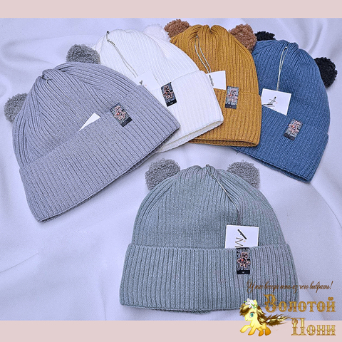Шапка на хлопке м (5-10) 251019-Ш4052