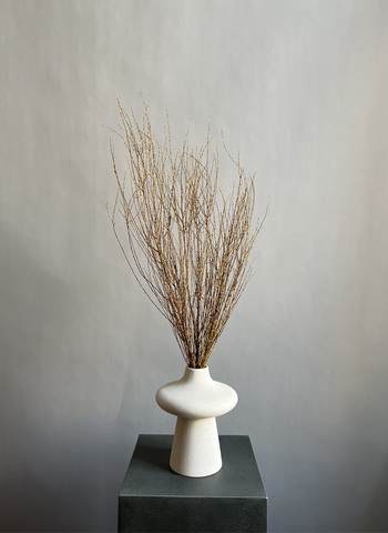 Вереск желтый