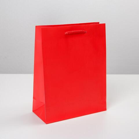 Пакет подарочный S вертикальный, «Красный», 18*23*8 см (Д*В*Ш)
