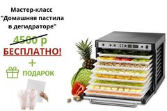 Дегидратор (сушилка) Tribest Sedona Combo SD-P9150