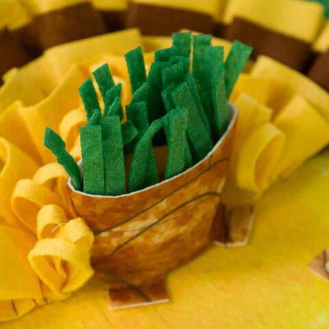 Коврик-интеллектуальная игра для собак "Вот так фрукт!"