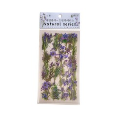 Наклейка, Цветы, Фиолетовые, 6 листов