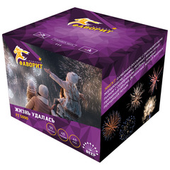 Батарея салютов "Жизнь удалась" 50 залпов