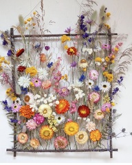 Весенний клуб  "Ботаника. Контраст". Пасма/набор из мини пасм