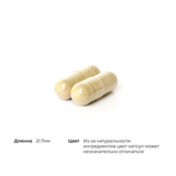 Фитосом кверцетина, Quercetin Phytosome, Thorne Research, 60 капсул 4