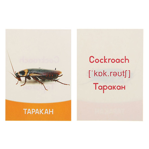 Обучающие карточки 