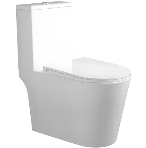 Унитаз монолитный SANITECO 6380 Tornado белый 690х360х790