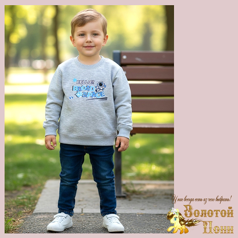 Свитшот трикотаж м (74-98) 251205-Y5113