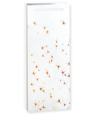 Пакет подарочный под бутылку, Тысячи созвездий, Белый/Золото, 12*36*9 см (Д*В*Ш)