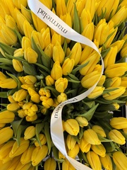 Тюльпаны классика - желтый цвет