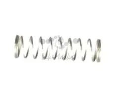 Пружина ролика заряда Ricoh B0392287