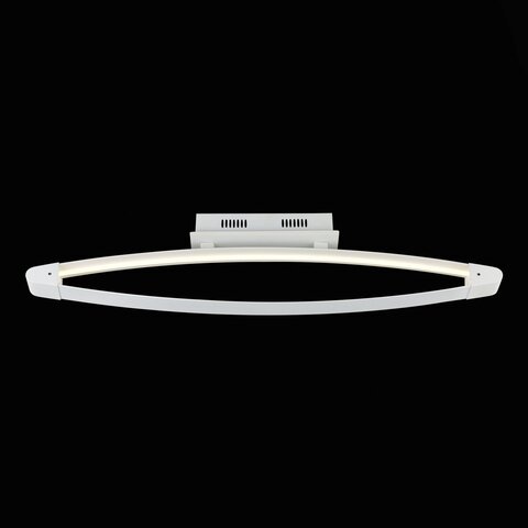 Светильник потолочный ST Luce Orione SL920.102.01