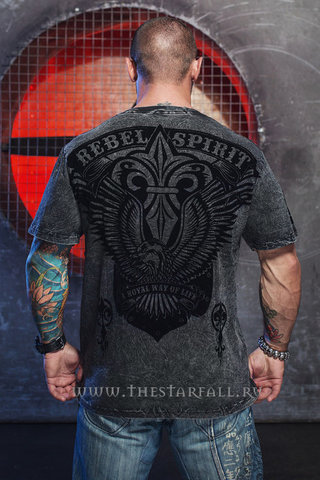 Rebel Spirit | Футболка мужская SSK141700 спина на модели