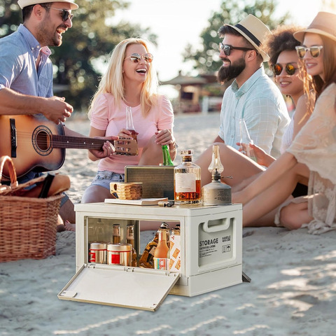 Картинка ящик складной Skully FCB-2-50 grey - 3