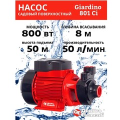 Насос садовый QUATTRO ELEMENTI Giardino 801 Ci (800 Вт, 3000 л/ч, для чистой, 50 м, 8,4 кг) (910-133)