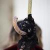 Зонт-трость Pasotti 58002-9 D35 Chains Printed Swarovski