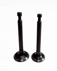 Клапаны (пара) G120F/500550023-0001