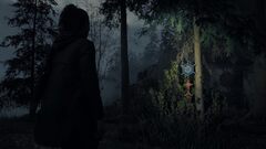 Alan Wake 2 (II) Deluxe Edition (диск для Xbox Series X, интерфейс и субтитры на русском языке)