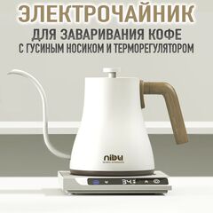 Чайник с регулировкой температуры нагрева (белый)