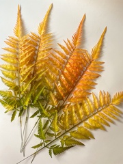 Папоротник осенний оранжевый, зелень искусственная, 60 см, набор 5 веток.