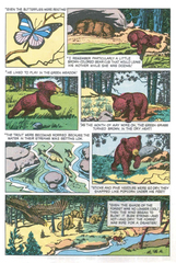 The True Story of Smokey Bear