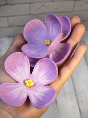 Молд пластиковый М-9 лепестки сирени 7х7см