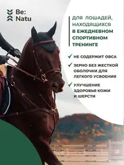 Мюсли Pro:Sport mix 20 кг