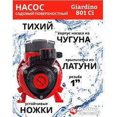 Насос садовый QUATTRO ELEMENTI Giardino 801 Ci (800 Вт, 3000 л/ч, для чистой, 50 м, 8,4 кг) (910-133)
