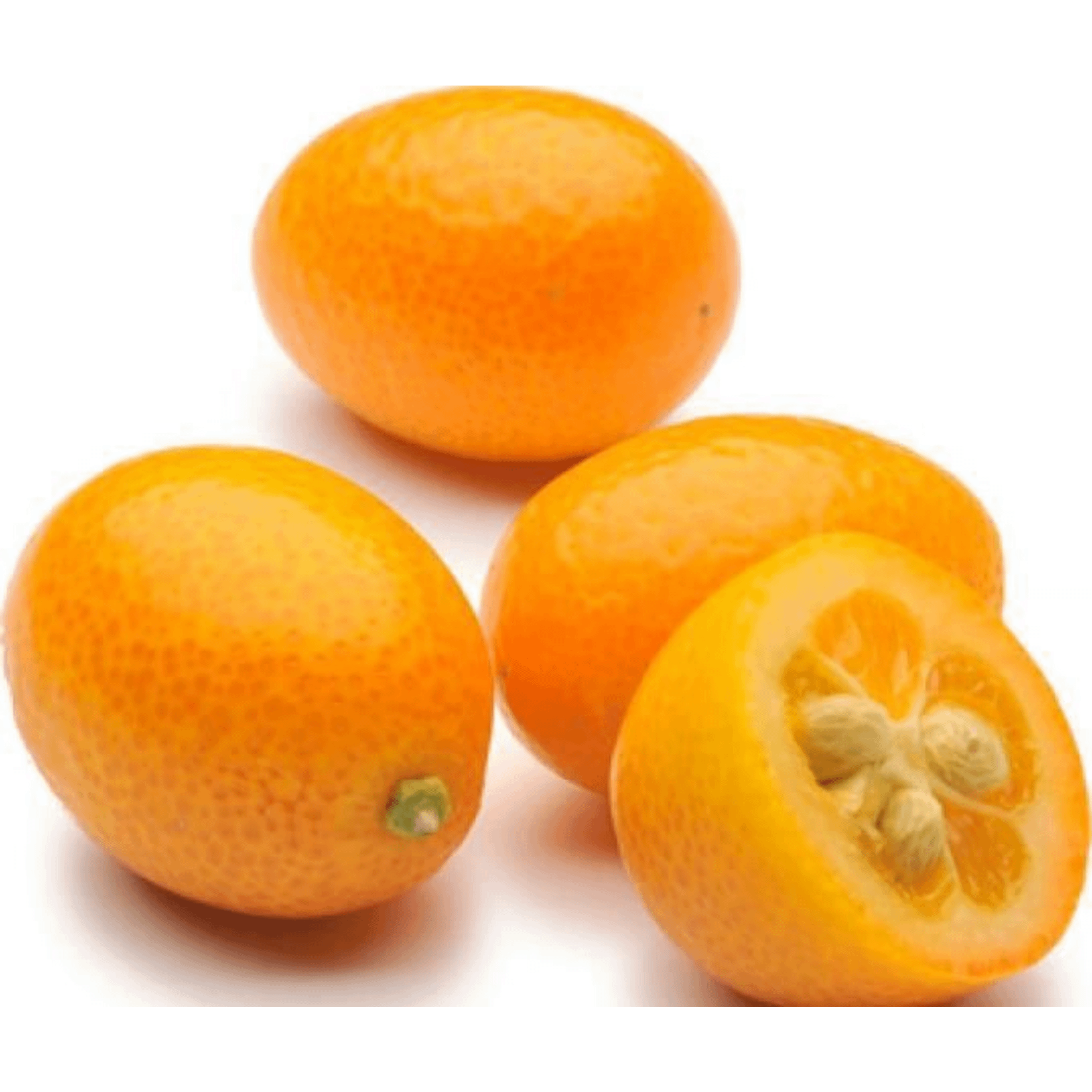 Кумкват в москве. Кумкват оранжевый. Кумкват - Kumquat d20 h60. Тропический фрукт кумкват. Кумкват апельсин.