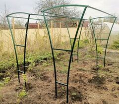 Шпаллера для ЕЖЕВИКИ
