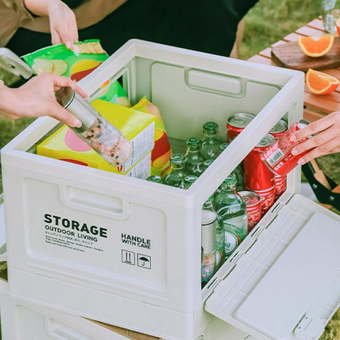 Картинка ящик складной Skully FCB-2-50 grey - 4