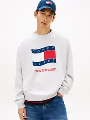 Толстовка мужская TOMMY JEANS TJM 90S WAVY FLAG CR