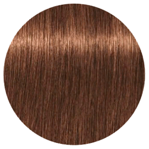 Schwarzkopf Igora Absolutes 6-60 (Темный русый шоколадный натуральный) - Стойкая крем-краска для окрашивания зрелых волос