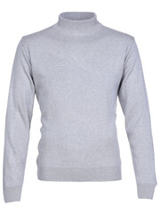 Мужская водолазка STATMEN