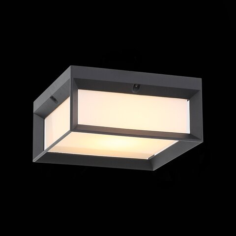 Светильник уличный потолочный ST Luce Cubista SL077.402.01