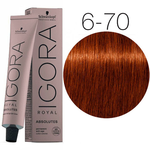 Schwarzkopf Igora Absolutes 6-70 (Темный русый медный натуральный) - Стойкая крем-краска для окрашивания зрелых волос