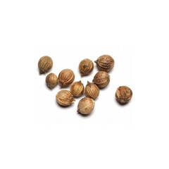 CdS. Кориандр (Coriander) - 10 ml