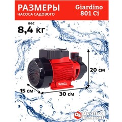 Насос садовый QUATTRO ELEMENTI Giardino 801 Ci (800 Вт, 3000 л/ч, для чистой, 50 м, 8,4 кг) (910-133)