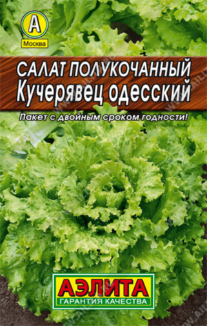 Салат Кучерявец Одесский полукочанный тип Лидер купить с доставкой по ...