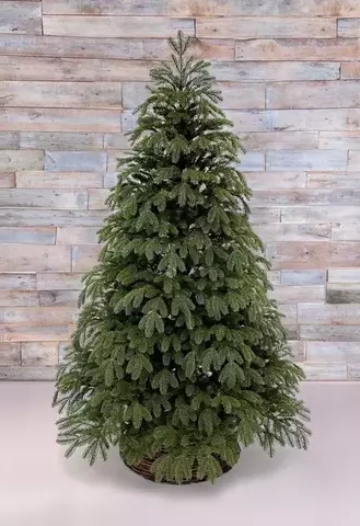 Ель 215см Black Box Дворянская зеленая