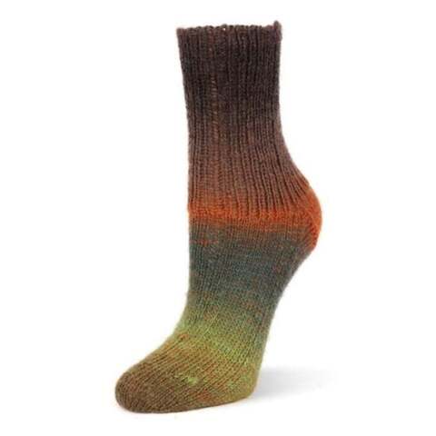 Пряжа Rellana Flotte Socke 4f. Kolibri 6206