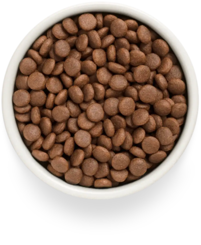 PREMIER Свежее филе лосося с индейкой для взрослых собак средних пород