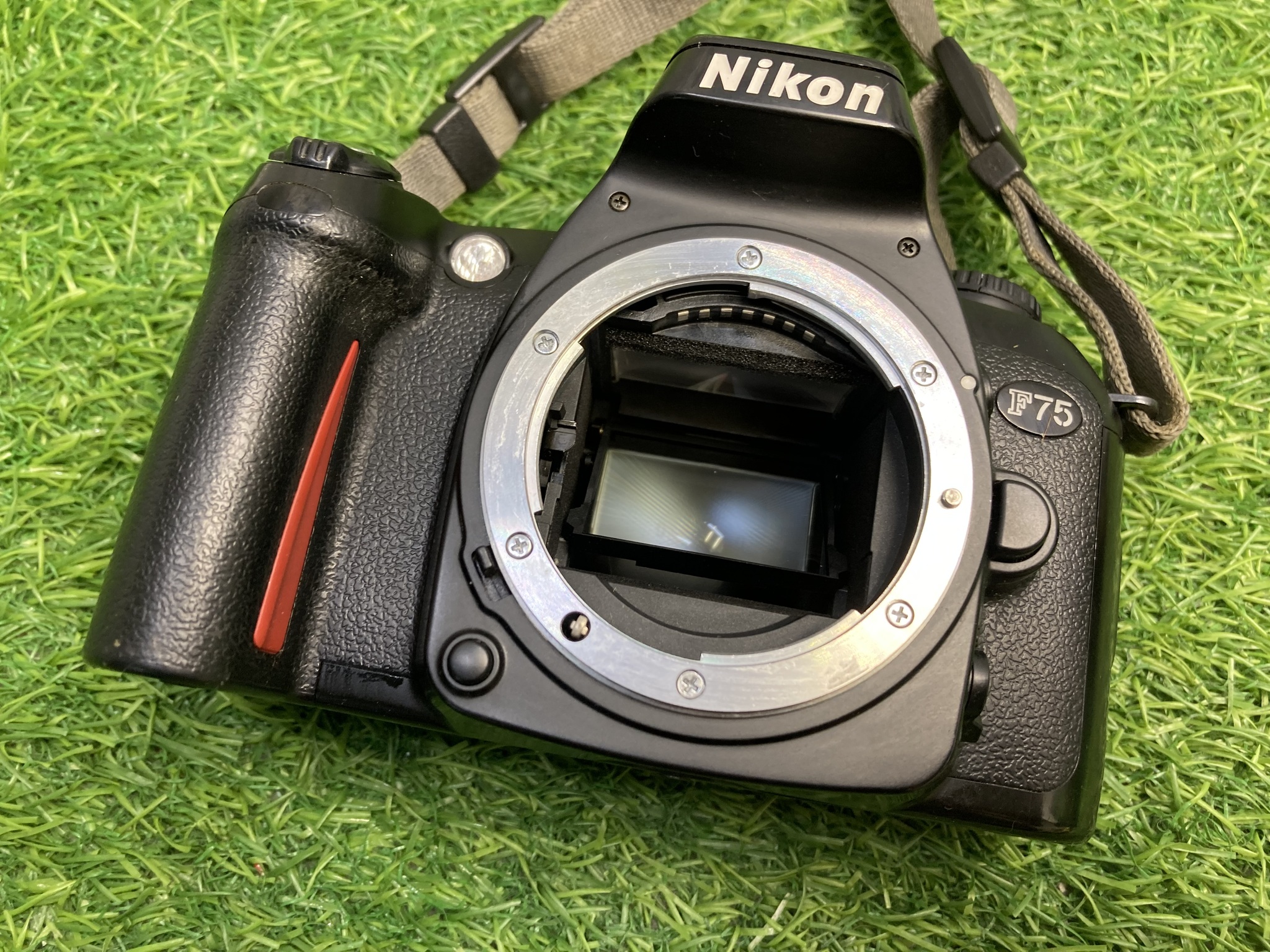 Nikon f75 discount