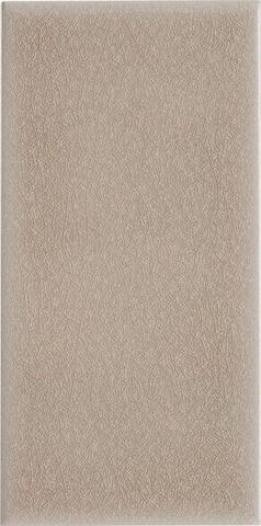 Adex Ocean Liso Sand Dollar 7.5x15