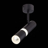 Светильник потолочный ST Luce ST106.442.08