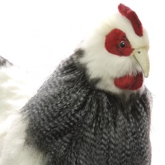 Hansa Мягкая игрушка 