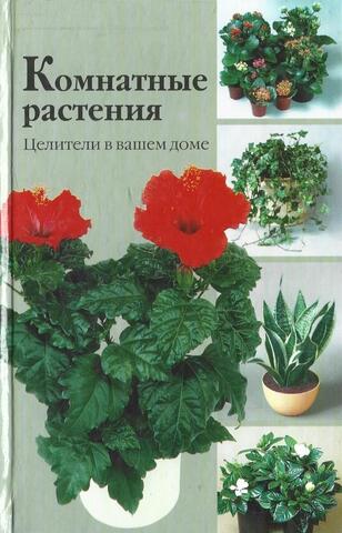 Комнатные растения. Целители в вашем доме